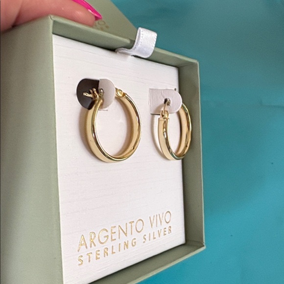 Argento Vivo Sterling Silver Hoop Earrings new in box - Picture 6 of 6